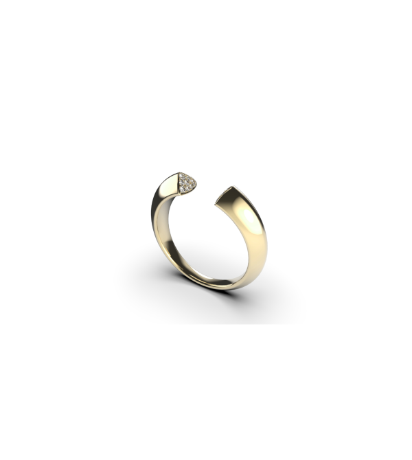 Ring Ajour